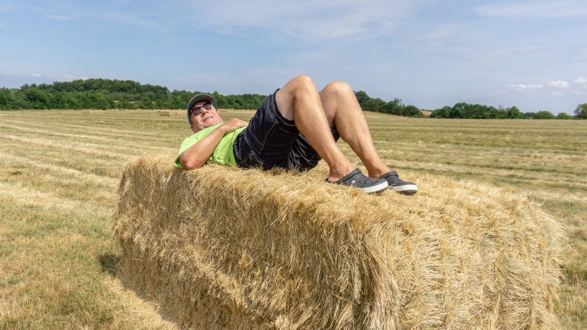 EIN BETT IM KORNFELD