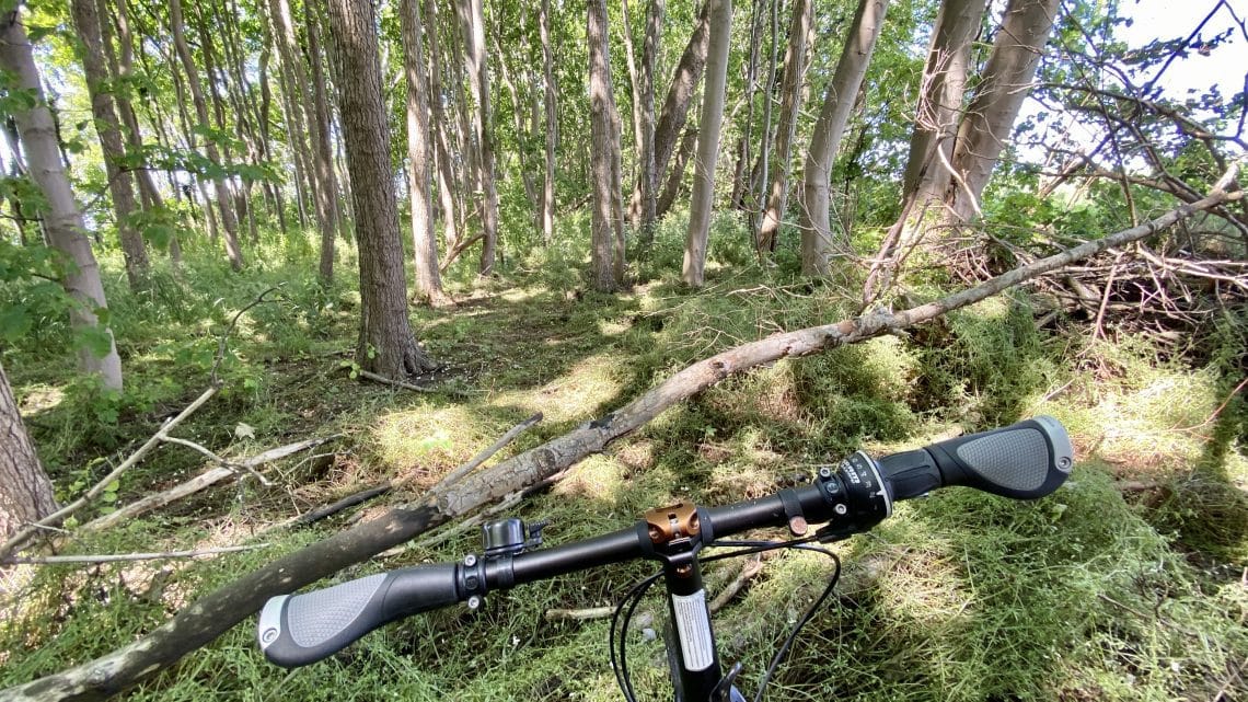 „WOLFMOOT-TRAIL“