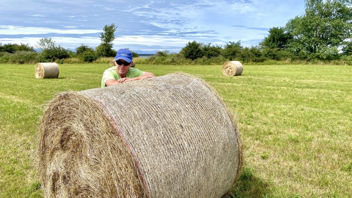 RÜGENSCHE FASZIENROLLEN