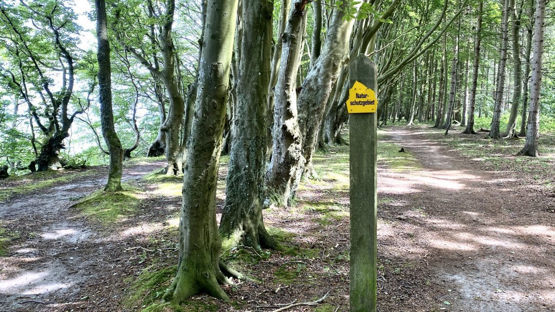 DURCH DEN MÄRCHENWALD ZUM KAP