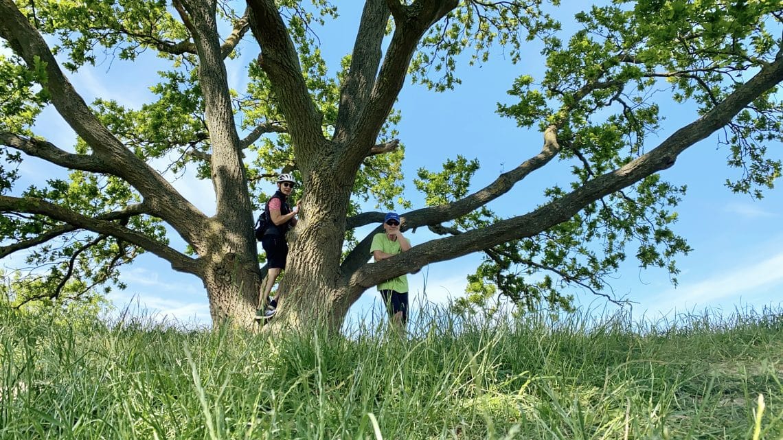 SCHÖN, ROMANTISCH,WILD