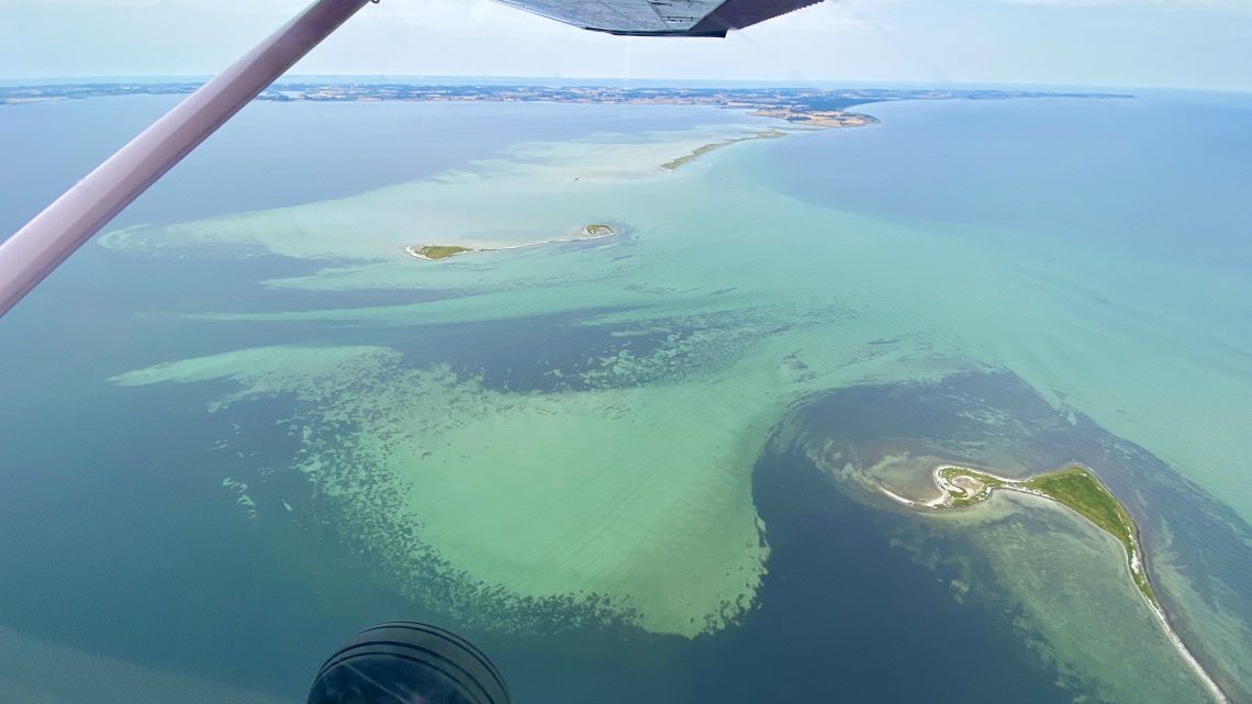 At cycle, vandretur, at flyve